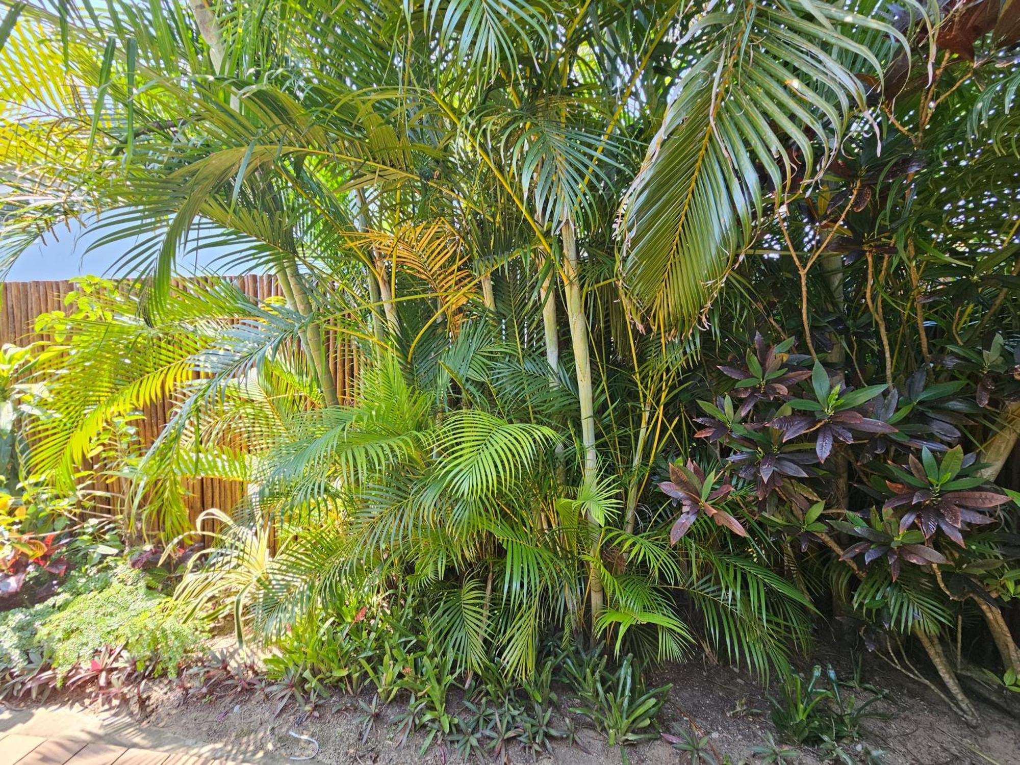 Leopard Corner Lodge Saint Lucia Estuary Exteriör bild